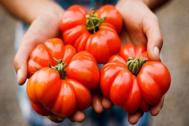 Những điều cần biết về thực phẩm Non GMO 2 thuc-pham-Non-GMO-2